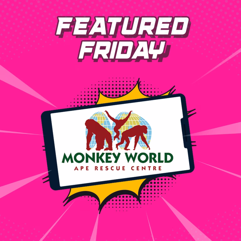 Monkey World Featured Friday