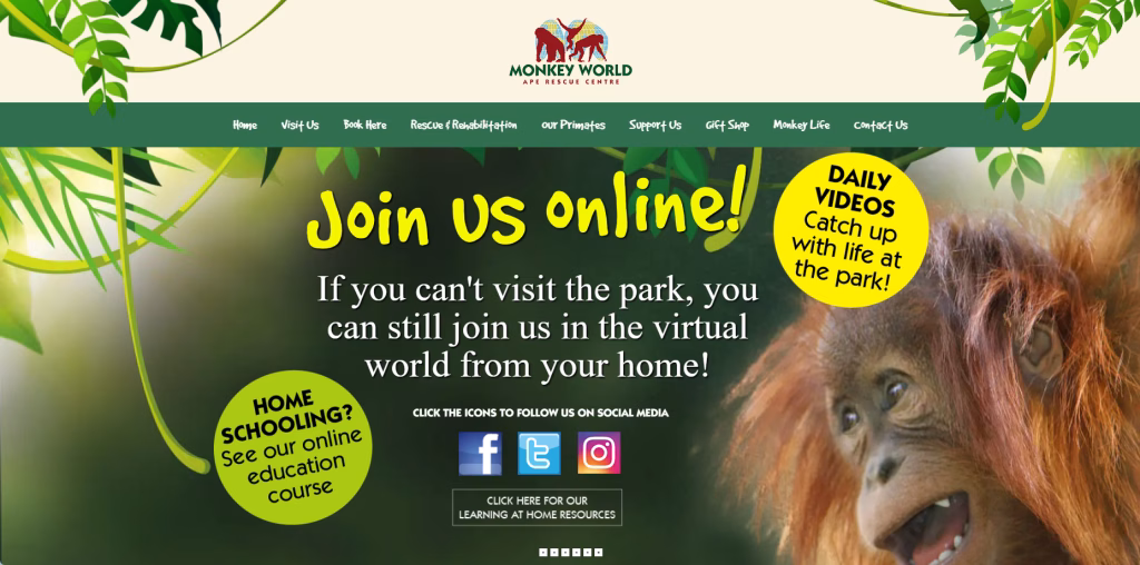 Monkey World Homepage