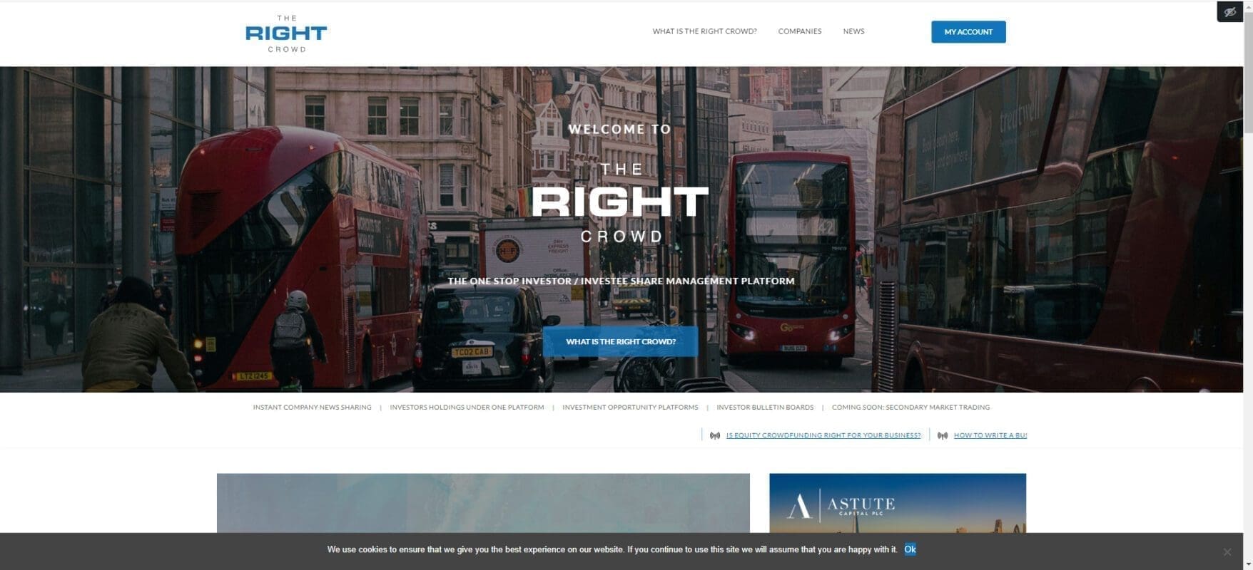 Consultancy Service Website - The Right Crowd