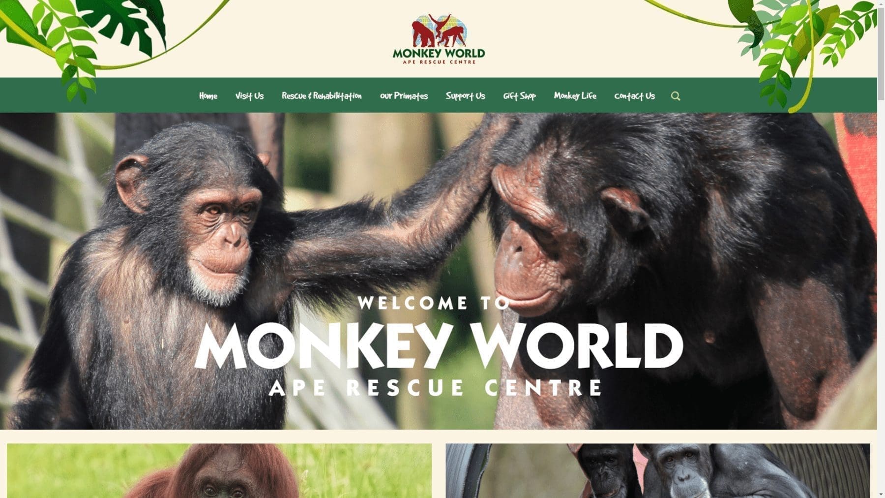 Monkey World Wordpress Website